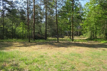 Działka rolna na sprzedaż Słupica 8 100m2 Foto 6