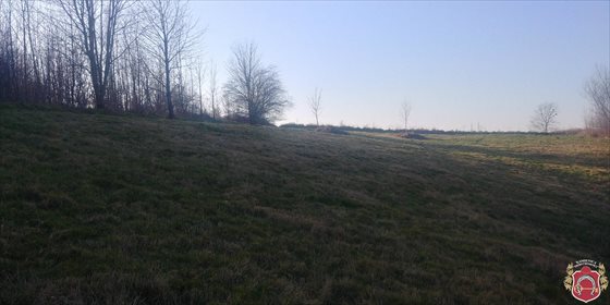działka na sprzedaż 3813m2 działka Władysławowo
