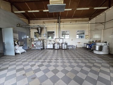 Polecam kompleks produkcyjny cukierniczy 2476 m² z pełnym wyposażeniem lokal użytkowy Zduńska Wola