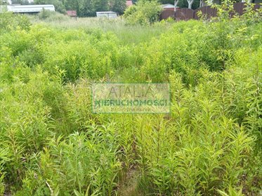 Działka budowlana 1010 m² z mediami, blisko S8 działka Zalesie