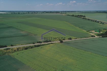 Działka przemysłowo-handlowa na sprzedaż Kurów 23 400m2 Foto 4