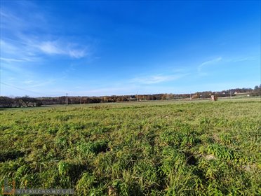 działka na sprzedaż 10000m2 działka Cianowice