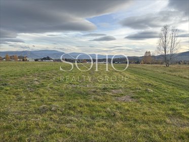 działka na sprzedaż 1997m2 działka Lipowa, Promienna