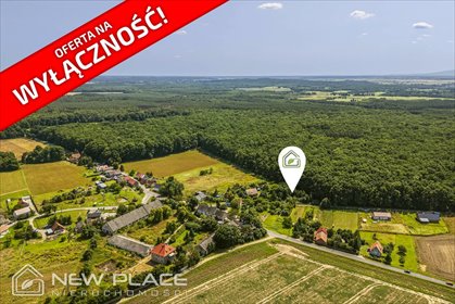Działka budowlana przy lesie w Kobylnikach, MPZP, 2413 m² działka Kobylniki