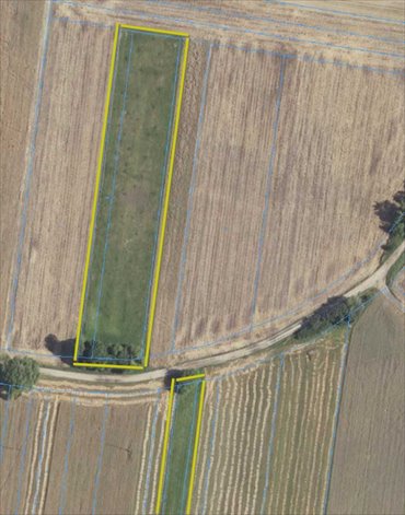 działka na sprzedaż 5565m2 działka Janów Podlaski, Janów Podlaski