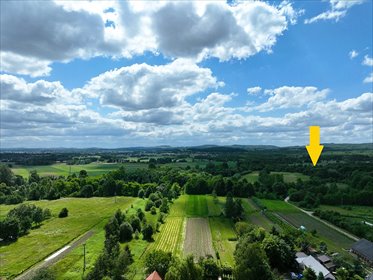 działka na sprzedaż 2100m2 działka Jadowniki