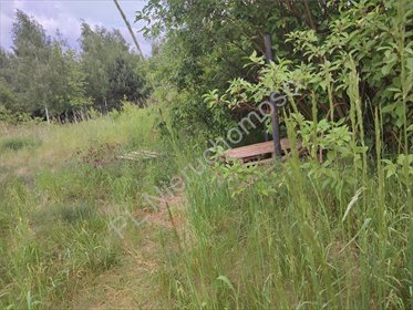 działka na sprzedaż 1206m2 działka Stara Wieś