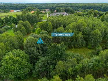 działka na sprzedaż 45500m2 działka Małe Liniewo