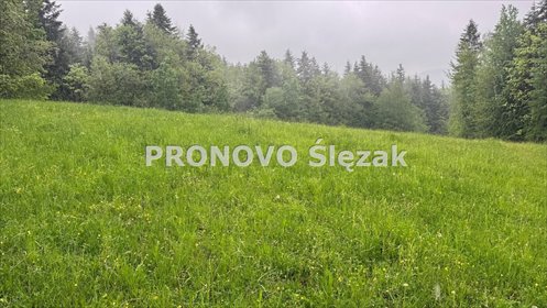 Działka 83 arów z widokami i lasem, asfalt, spokój działka Grybów, Krużlowa Wyżna