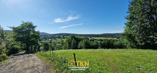 Działka 2000 m² w Weremieniu (blisko infrastruktury) działka Weremień, Weremień