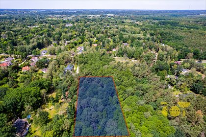 Działka 4960 m² w Złotokłosie – spokojna okolica, media działka Złotokłos, Leśna