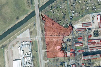 działka na sprzedaż 10000m2 działka Biała Podlaska