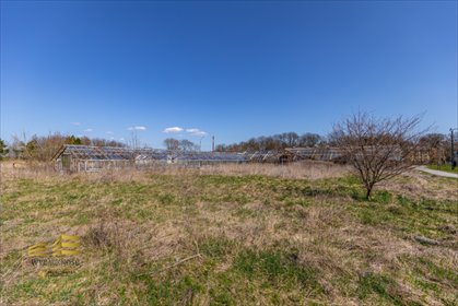 działka na sprzedaż 10856m2 działka Kijany