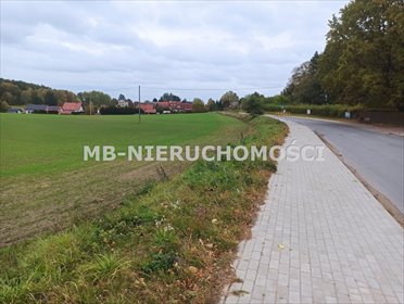 działka na sprzedaż 24122m2 działka Nikielkowo