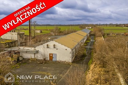 Na sprzedaż działka z halą 1925 m² w Jankowicach Wielkich lokal użytkowy Jankowice Wielkie