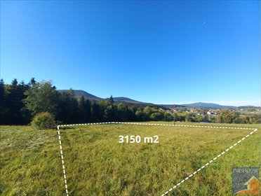 Sprzedam działkę 3150 m² z warunkami zabudowy w Starej Wsi działka Limanowa, Stara Wieś