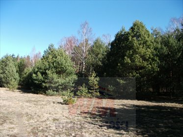 działka na sprzedaż 23532m2 działka Grójec