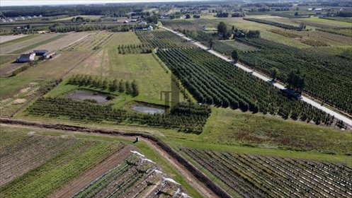 działka na sprzedaż 36200m2 działka Boglewice