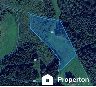 Działka rolna 14 212 m² w Elganowie - widoki i spokój działka Elganowo