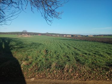 Działka rolna na sprzedaż Błażejewo 16 300m2 Foto 3