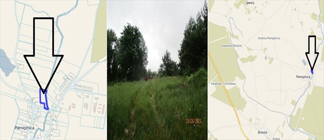 działka na sprzedaż 9357m2 działka Pieniężnica