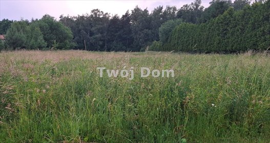 działka na sprzedaż 2500m2 działka Dąbrowa Chełmińska