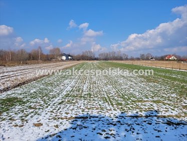 działka na sprzedaż 12046m2 działka Warszawa, Wilanów, Powsin