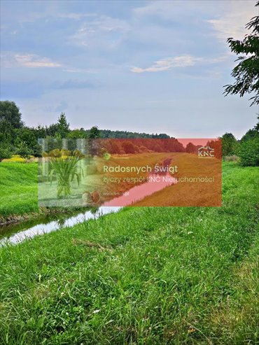 działka na sprzedaż 21100m2 działka Dąbrowa