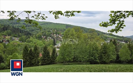 Działka 3199 m² z pozwoleniem na budowę - polecam! działka Brenna, Leśnica