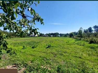 działka na sprzedaż 5841m2 działka Biejów