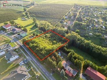 Działka 3538 m2 z potencjałem, MPZP, do podziału działka Wyrzysk