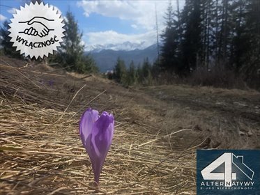 Działka z widokiem na Tatry, inwestycyjna, 33,88 ar działka Zakopane, Droga Zubka
