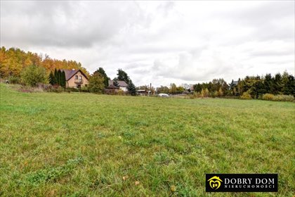 działka na sprzedaż 3031m2 działka Sejny