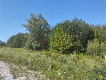 Działka 3000 m² pod zabudowę - spokojna okolica Piaseczna działka Gołków