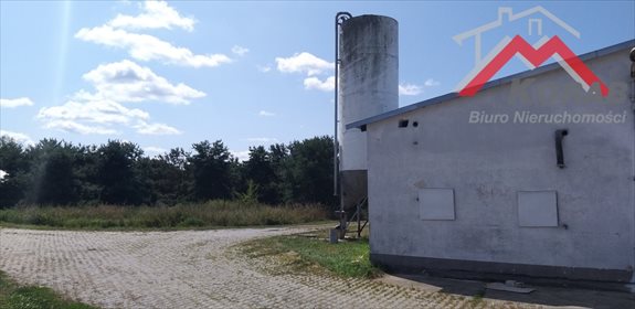 Magazyn na sprzedaż Samborowo 7 900m2 Foto 5