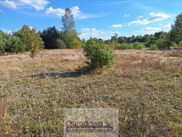 działka na sprzedaż 1091m2 działka Lucynów Duży