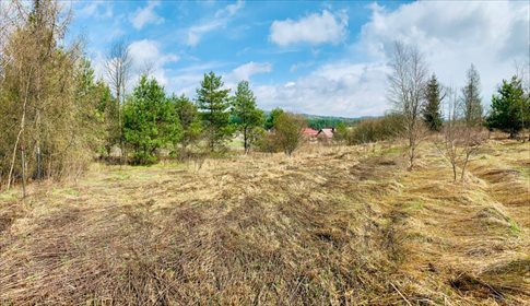 działka na sprzedaż 8217m2 działka Kwaśniów Górny, Hucisko