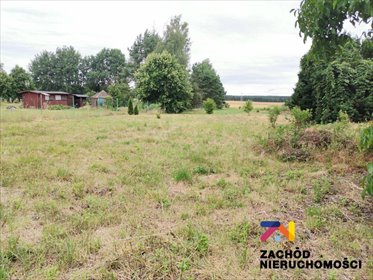 działka na sprzedaż 2700m2 działka Skarbona