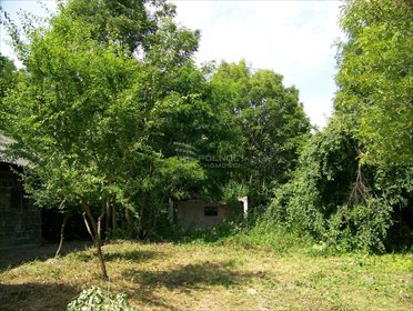 Działka budowlana na sprzedaż Imielno 7 700m2 Foto 3