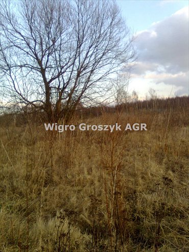 Działka rolna 6900 m² z planem zabudowy w Czeczotkach działka Czeczotki