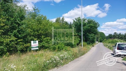 Na sprzedaż działka 9100 m² z lasem i warunkami zabudowy działka Słone, Spokojna