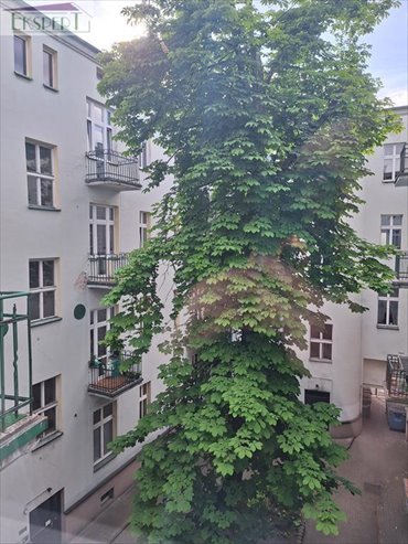 mieszkanie na sprzedaż 161m2 mieszkanie Sosnowiec, Centrum, EKSPERT 695 960 915