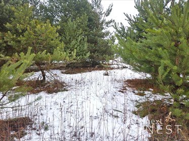 działka na sprzedaż 1250m2 działka Ławki, Zajączka