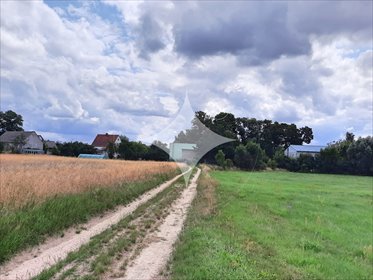 działka na sprzedaż 3000m2 działka Zebrzydowa