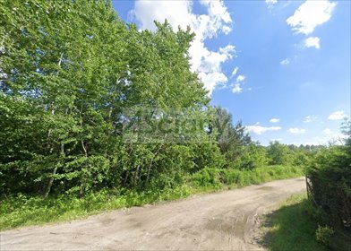 Działka 8463 m² pod dom i rekreację (blisko natury) działka Szczęsne