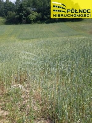 działka na sprzedaż 5541m2 działka Piątnica Poduchowna