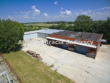 Magazyn na sprzedaż Przemyśl, Sielec, Sielecka 1 200m2 Foto 7