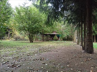 działka na sprzedaż 4391m2 działka Izbiszcze