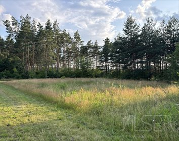 Działka 1271 m² w Kamieńczyku - zapraszam działka Kamieńczyk, Profesora Romana Kozłowskiego