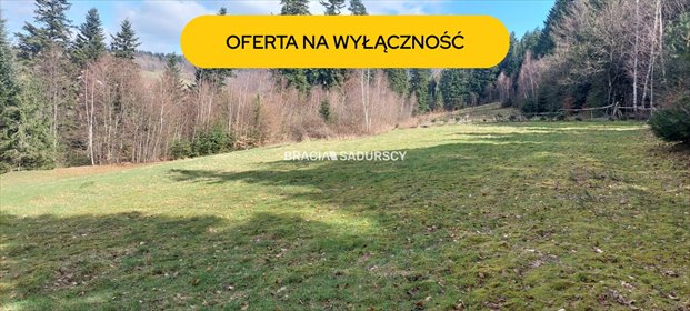 działka na sprzedaż 8000m2 działka Borzęta, Myślenice, Myślenice